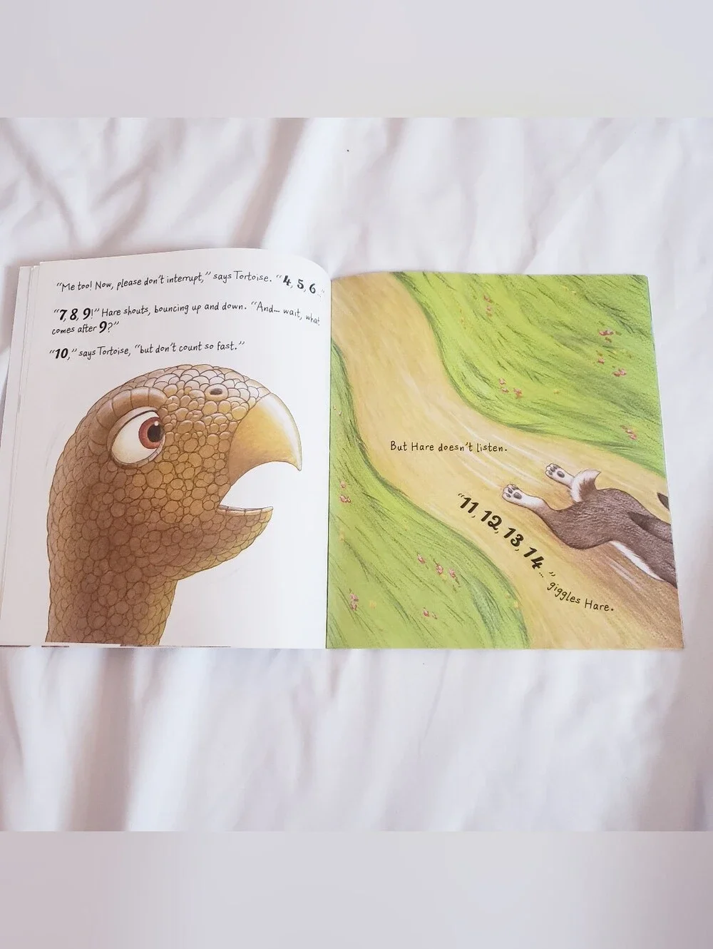 Scholastic colorful illustrated